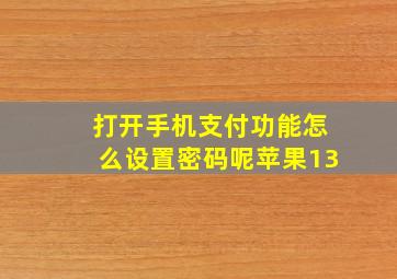 打开手机支付功能怎么设置密码呢苹果13