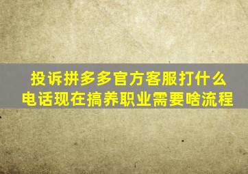 投诉拼多多官方客服打什么电话现在搞养职业需要啥流程