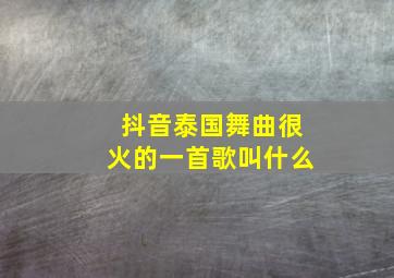 抖音泰国舞曲很火的一首歌叫什么