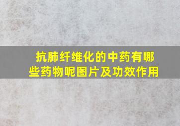 抗肺纤维化的中药有哪些药物呢图片及功效作用