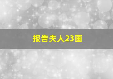 报告夫人23画