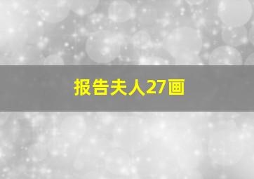 报告夫人27画