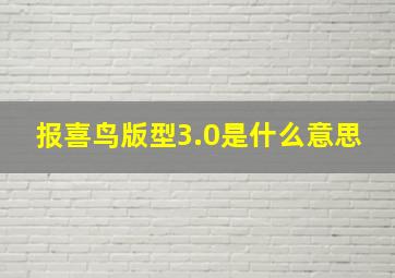 报喜鸟版型3.0是什么意思