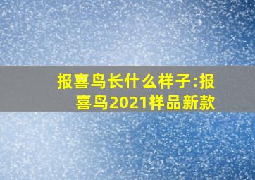 报喜鸟长什么样子:报喜鸟2021样品新款