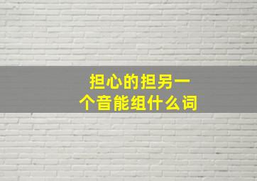 担心的担另一个音能组什么词