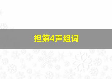 担第4声组词