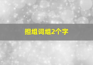 担组词组2个字