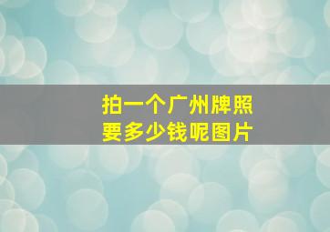 拍一个广州牌照要多少钱呢图片