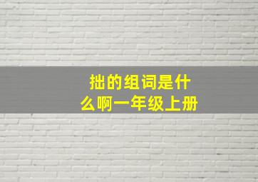 拙的组词是什么啊一年级上册