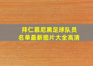 拜仁慕尼黑足球队员名单最新图片大全高清