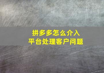 拼多多怎么介入平台处理客户问题