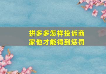 拼多多怎样投诉商家他才能得到惩罚