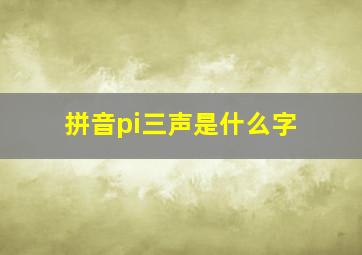 拼音pi三声是什么字