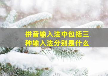 拼音输入法中包括三种输入法分别是什么