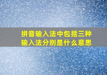 拼音输入法中包括三种输入法分别是什么意思