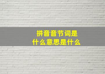 拼音音节词是什么意思是什么