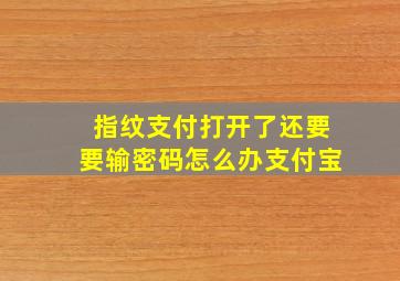 指纹支付打开了还要要输密码怎么办支付宝