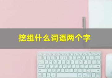 挖组什么词语两个字