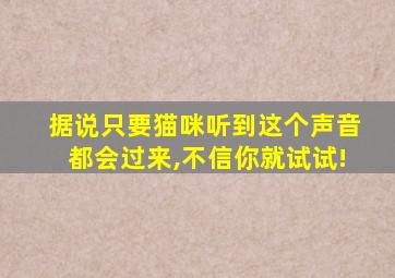 据说只要猫咪听到这个声音都会过来,不信你就试试!