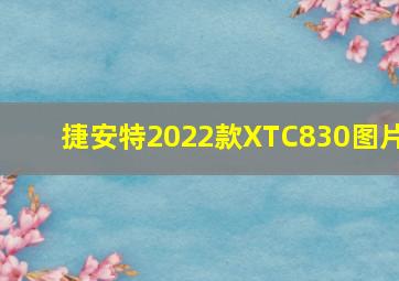 捷安特2022款XTC830图片