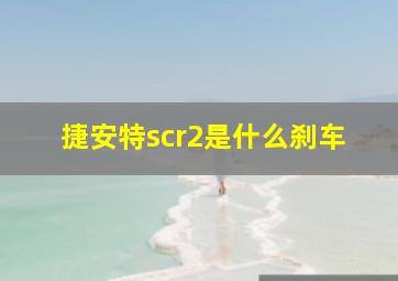 捷安特scr2是什么刹车