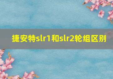 捷安特slr1和slr2轮组区别