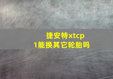 捷安特xtcp1能换其它轮胎吗