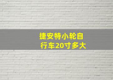 捷安特小轮自行车20寸多大