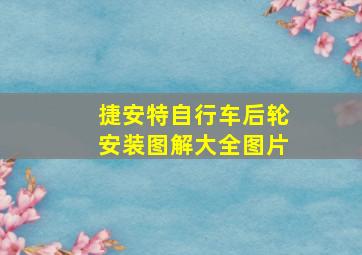 捷安特自行车后轮安装图解大全图片