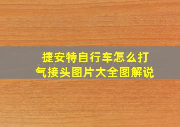 捷安特自行车怎么打气接头图片大全图解说