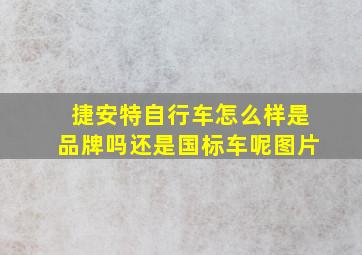 捷安特自行车怎么样是品牌吗还是国标车呢图片