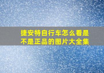 捷安特自行车怎么看是不是正品的图片大全集