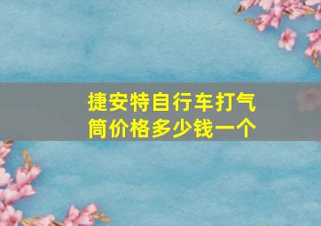 捷安特自行车打气筒价格多少钱一个