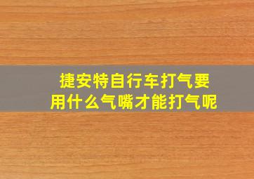 捷安特自行车打气要用什么气嘴才能打气呢