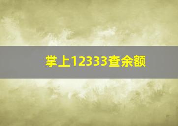 掌上12333查余额