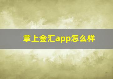 掌上金汇app怎么样