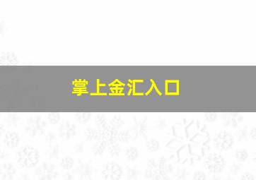 掌上金汇入口