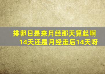 排卵日是来月经那天算起啊14天还是月经走后14天呀