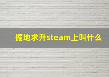 掘地求升steam上叫什么