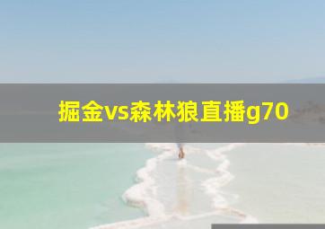 掘金vs森林狼直播g70