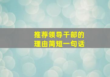 推荐领导干部的理由简短一句话