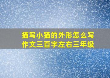 描写小猫的外形怎么写作文三百字左右三年级