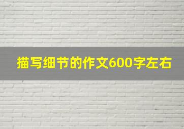 描写细节的作文600字左右