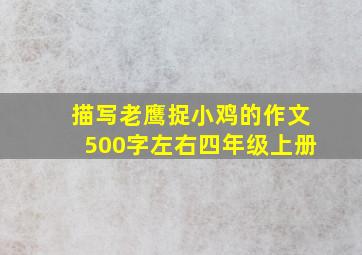 描写老鹰捉小鸡的作文500字左右四年级上册