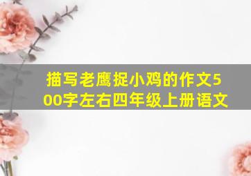 描写老鹰捉小鸡的作文500字左右四年级上册语文