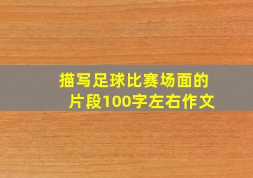 描写足球比赛场面的片段100字左右作文