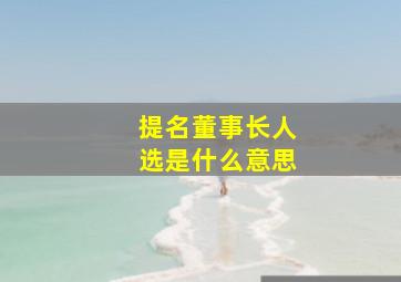 提名董事长人选是什么意思