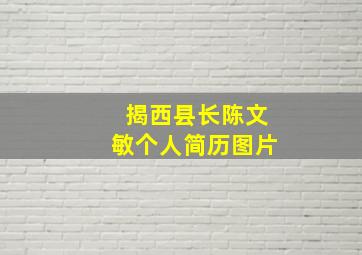 揭西县长陈文敏个人简历图片