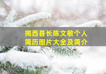 揭西县长陈文敏个人简历图片大全及简介