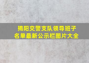 揭阳交警支队领导班子名单最新公示栏图片大全